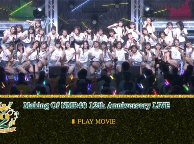 NMB48-12thAnniversaryLIVECOLLECTION20222023[BDISO7BD324GB] MV百度网盘下载