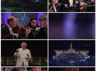 2013维也纳美泉宫夏季音乐会Sommernachtskonzert/SummerNightConcert2013[BDMV26.1GB] MV百度网盘下载