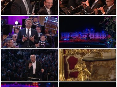 2020维也纳美泉宫夏季音乐会Sommernachtskonzert/SummerNightConcert2020[BDMV19.6GB] 演唱会MV下载