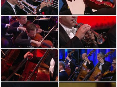 2018维也纳美泉宫夏季音乐会Sommernachtskonzert/SummerNightConcert2018[BDMV19GB] 演唱会MV下载